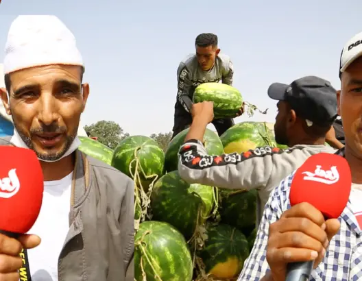 فلاحو وتجار “الدلاح” يتكبدون خسائر فادحة ويصرحون: الإشاعات حطَّمتنا (فيديو)