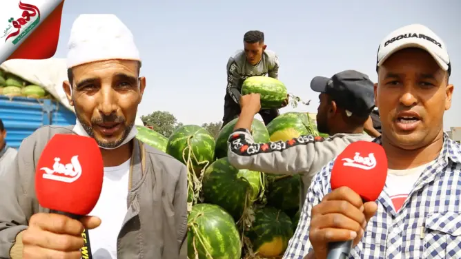 فلاحو وتجار “الدلاح” يتكبدون خسائر فادحة ويصرحون: الإشاعات حطَّمتنا (فيديو)