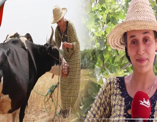 هدى.. يوتيوبر مغربية تُشارك أجواء البادية مع متابعيها