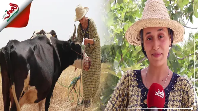 هدى.. يوتيوبر مغربية تُشارك أجواء البادية مع متابعيها