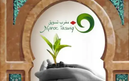 الدولة تشرع في حل وتصفية مكتب التسويق والتصدير بعد دخول القانون 20 .06 حيز التنفيذ