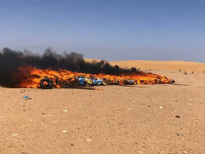 سلطات العيون تتلف أطنانا من الممنوعات