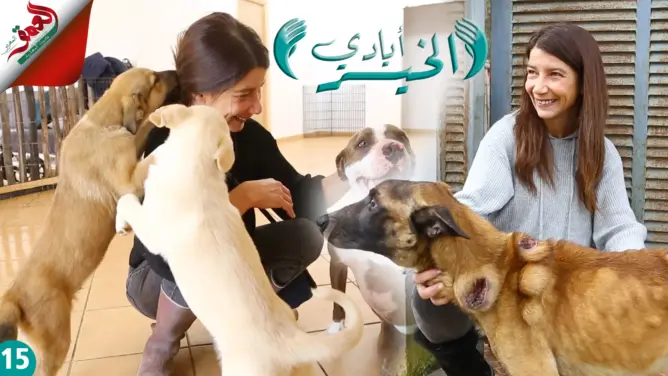 سليمة.. سيدة طنجاوية وهبت حياتها لإيواء مئات الكلاب والقطط (فيديو)