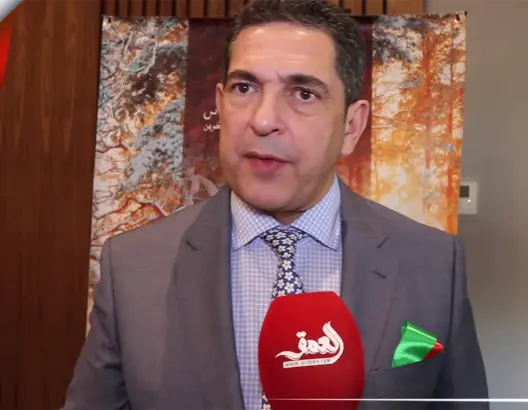 سعيد أمزازي