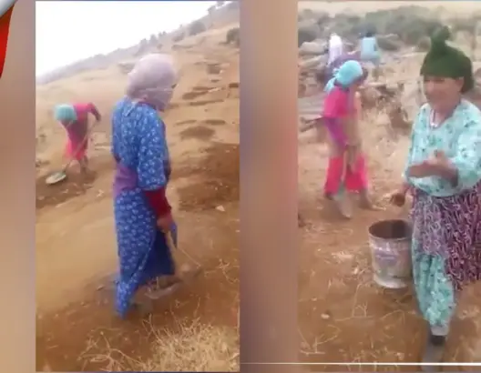 بوسائل بدائية.. نساء يعبّدن طريقا ضواحي أزيلال ومسؤول يوضح (فيديو)