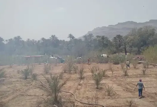 العطش يتربص بواحات زاكورة.. مطالب عاجلة بإطلاق الطلقة المائية وإنجاز آبار لإنقاذ النخيل
