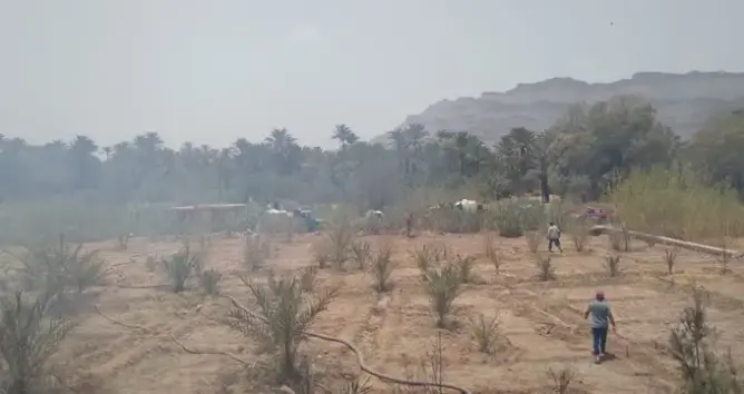 العطش يتربص بواحات زاكورة.. مطالب عاجلة بإطلاق الطلقة المائية وإنجاز آبار لإنقاذ النخيل