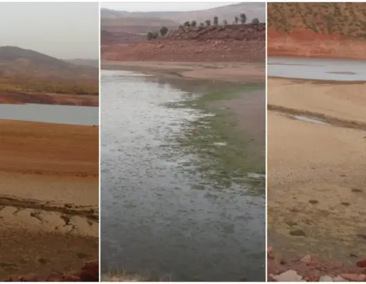 تراجع حقينة سد بين الويدان بأزيلال يهدد ثروة سمكية مهمة