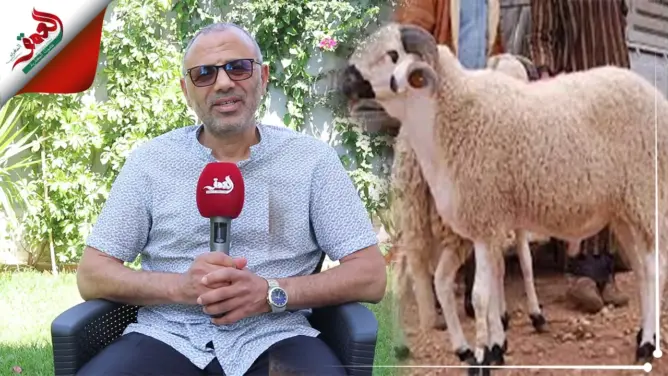 بمناسبة العيد..نصائح طبية: كيفية اختيار الذبيحة وتجنب الأخطاء الشائعة (فيديو .ح 1)
