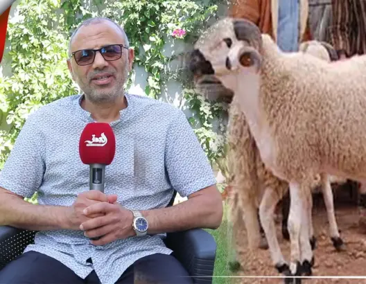 نصائح عيد الأضحى.. تعرف على كيفية الذبح وصحة الذبيحة وعادات تضر بالصحة (فيديو)