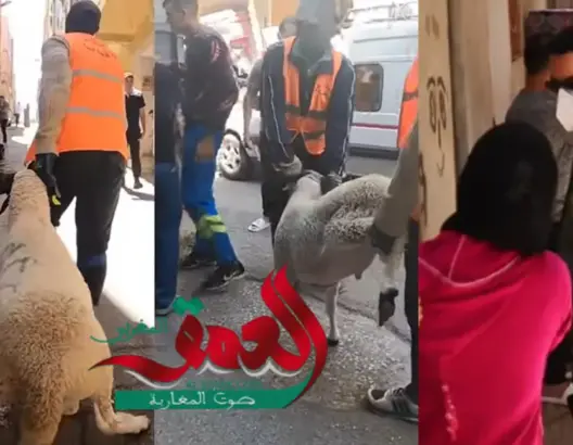 والي جهة طنجة يوزع أضاحي العيد على عائلات ضحايا فاجعة “مصنع الموت”