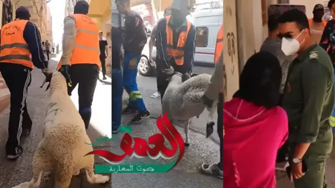والي جهة طنجة يوزع أضاحي العيد على عائلات ضحايا فاجعة “مصنع الموت”
