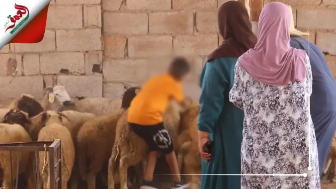 حفظا لكرامة الأرامل وأيتامهم.. “رفقاء الخير” يقيمون سوقا لتجسيد بيع الأضاحي رفعًا للإحراج (فيديو)