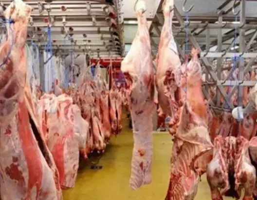 بمناسبة عيد الأضحى.. جماعة بني ملال تضع المجزرة البلدية رهن إشارة المواطنين