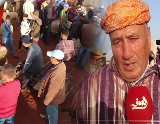 قبيل العيد.. عرض وافر وأثمنة مرتفعة لأضاحي العيد بالسوق الأسبوعي بودربالة (فيديو)