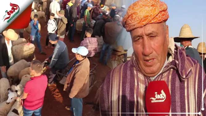 قبيل العيد.. عرض وافر وأثمنة مرتفعة لأضاحي العيد بالسوق الأسبوعي بودربالة (فيديو)