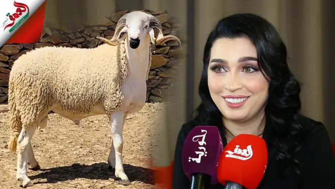 الفاسي تتحدث عن أجواء عيد الأضحى: “كنسلخ ونغسل الكرشة وكنظفر المصارن” (فيديو)