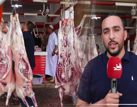 مع ارتفاع درجة الحرارة.. مواطنون يتسابقون لتقطيع أضاحيهم عند الجزار بالحاجب (فيديو)