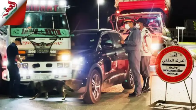 كلاب مدربة للتفتيش ومخالفات التنقل.. الدرك الملكي يشدد إجراءات تطبيق قرار الحجر الليلي بمدخل طنجة(فيديو)