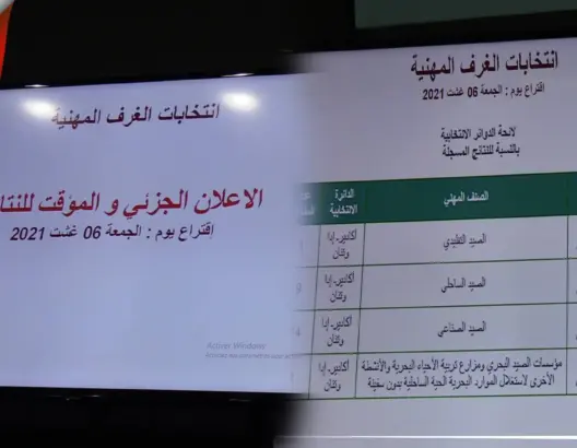 عاجل: النتائج الجزئية لانتخابات الغرف بجهة سوس ماسة(فيديو)