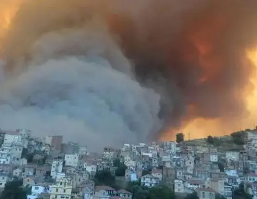 بعد مقتل 7 مدنيين .. مصرع 25 جنديا وإصابة 15 في حرائق الجزائر