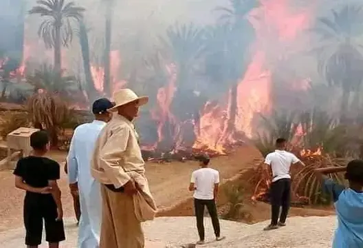 حريقان متفرقان يلتهمان مئات أشجار النخيل ضواحي زاكورة (صور)