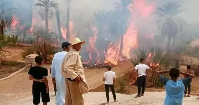 حريقان متفرقان يلتهمان مئات أشجار النخيل ضواحي زاكورة (صور)