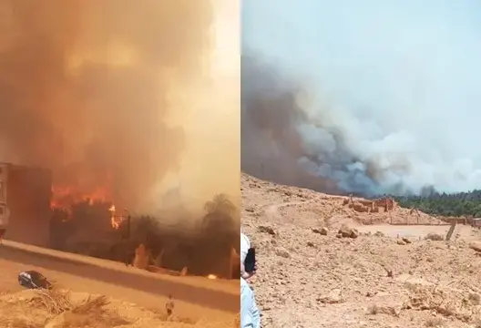حريق مهول يلتهم واحة “أولاد شاكر” بالرشيدية .. و”كاندير” تشارك في إخماده