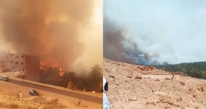 حريق مهول يلتهم واحة “أولاد شاكر” بالرشيدية .. و”كاندير” تشارك في إخماده