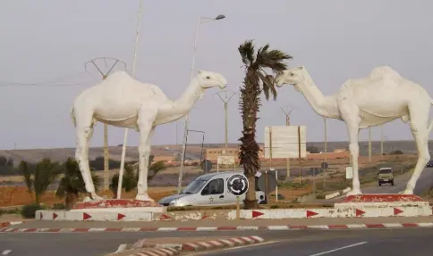 كلميم.. الحمامة والجرار في يتصدران نتائج انتخابات المجلس الإقليمي