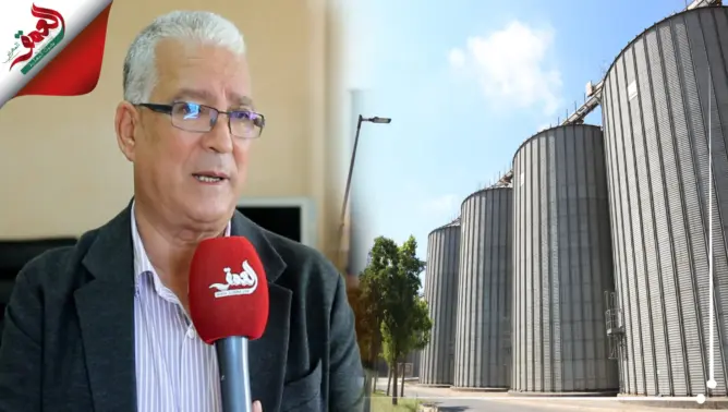 رئيس الجامعة الوطنية للمطاحن يوضح سبب ارتفاع أسعار القمح ويطمئن المغاربة (فيديو)