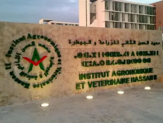 مباراة لتوظيف 18 أستاذا مساعدا للتعليم العالي بمعهد الحسن الثاني للزراعة والبيطرة