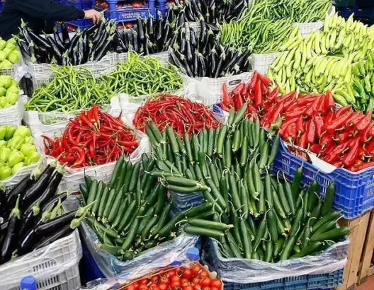 المغرب يجني ما يفوق 52 مليار درهم من صادرات الخضر خلال 5 سنوات الأخيرة