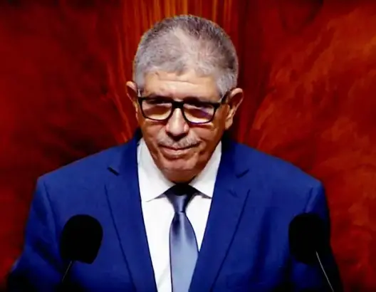 تويزي: الإعلام ساهم في إيصال رسائل إنجاز المنتخب في المونديال للشباب