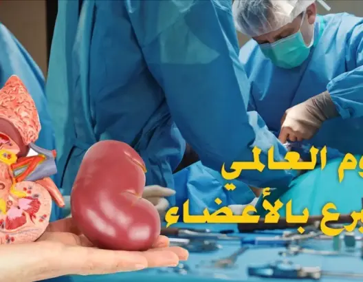 في اليوم العالمي للتبرع بالأعضاء والأنسجة البشرية .. أرقام محتشمة ومرضى ينتظرون بصيص أمل