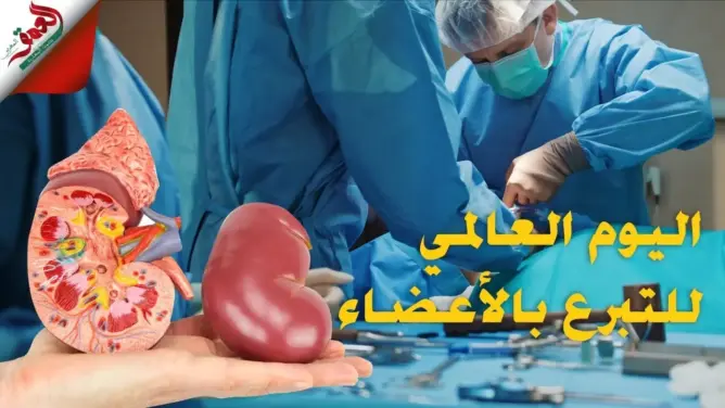 في اليوم العالمي للتبرع بالأعضاء والأنسجة البشرية .. أرقام محتشمة ومرضى ينتظرون بصيص أمل