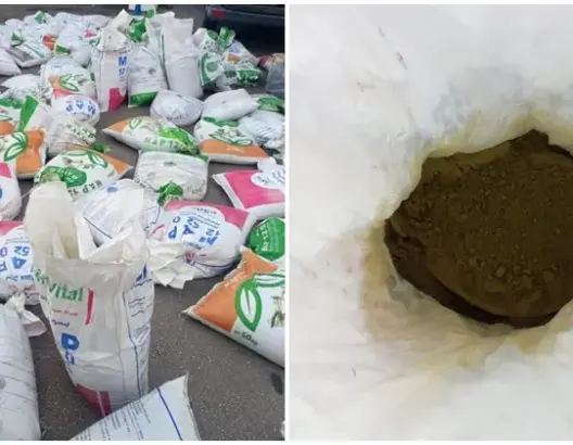 حجز نحو طنين من “الشيرا” داخل سيارة بميناء طنجة المتوسط