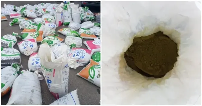 حجز نحو طنين من “الشيرا” داخل سيارة بميناء طنجة المتوسط