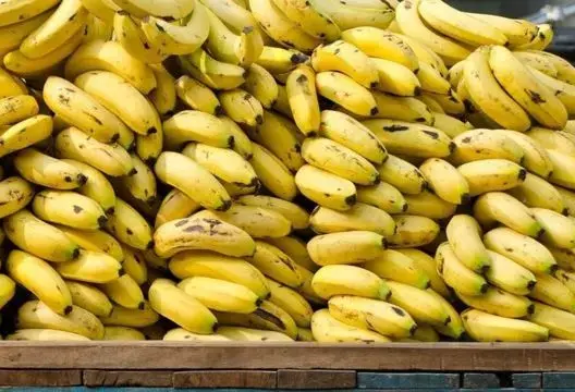 بكلفة تفوق 18 مليون دولار.. المغرب يستورد كميات قياسية من الموز سنة 2024