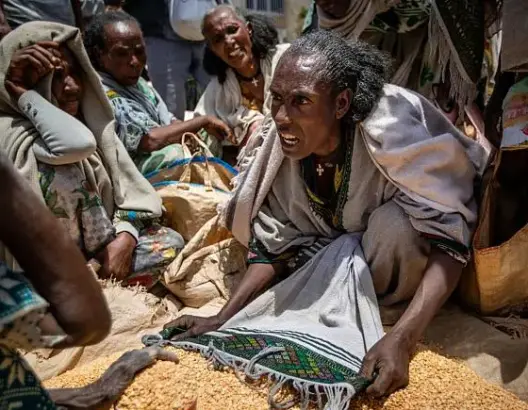 تصعيد الشرق الأوسط واضطرابات هرمز يهددان 22 مليون شخص إضافي بإنعدام الأمن الغذائي