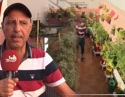 مغربي يحول سطح منزله لمزرعة تضم أغلب أنواع الخضروات والفواكه (فيديو)
