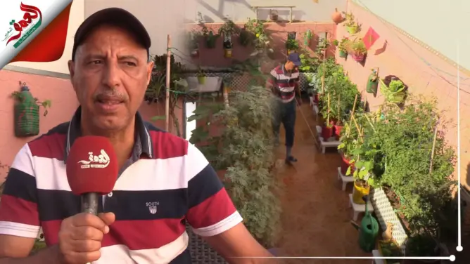 مغربي يحول سطح منزله لمزرعة تضم أغلب أنواع الخضروات والفواكه (فيديو)