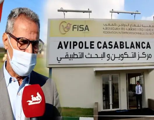 فيدرالية الداوجن تقرر دعم حاملي مشاريع المجازر العصرية لضمان استقرار الأسعار (فيديو)