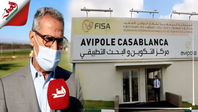 فيدرالية  قطاع الداوجن “FISA” تتبنى دعم حاملي مشاريع إحداث مجازر عصرية