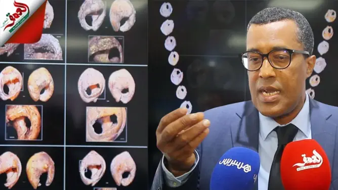 يعود تاريخها لـ150 ألف سنة.. باحث مغربي يتحدث عن قواقع كانت تستعمل كحلي للزينة (فيديو)