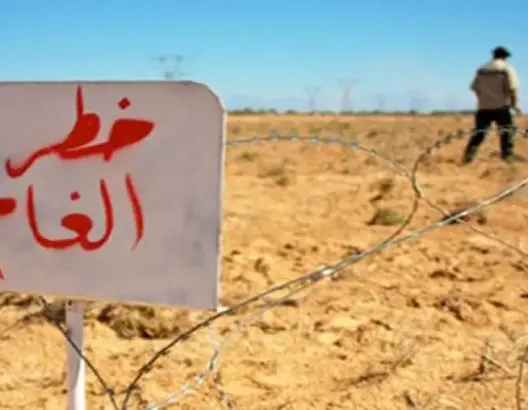 الألغام تصيب 388 ضحية في الصحراء المغربية والقوات المسلحة تزيل الآلاف منها