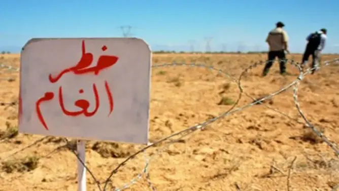 الألغام تصيب 388 ضحية في الصحراء المغربية والقوات المسلحة تزيل الآلاف منها