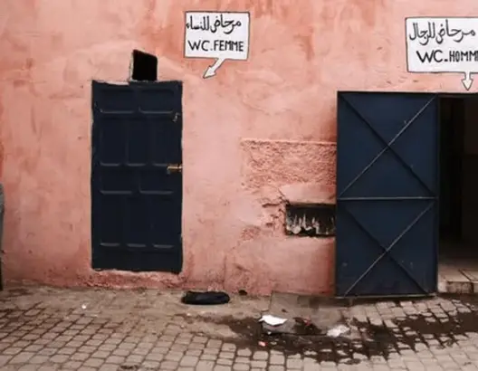 اليوم العالمي للمراحيض.. 3.6 مليار شخص يعيشون بدون دورات مياه آمنة
