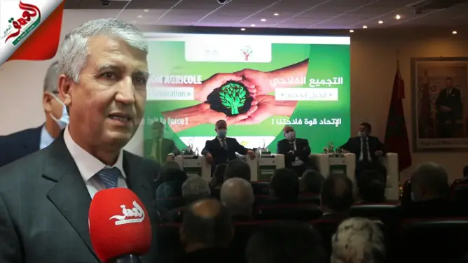 وزارة الفلاحة تطلق مشاريع التجميع الفلاحي في إطار “الجيل الأخضر”