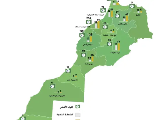 71مدرسة إيكولوجية بالمغرب تحصل على اللواء الأخضر للبيئة